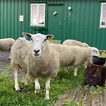 아파트 Kraemmervika Rorbuer - Rustic & In Lofoten 발스타드