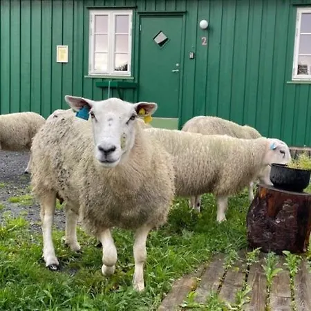 דירה Kraemmervika Rorbuer - Rustic & In Lofoten בלסטאד