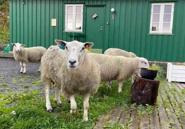Appartamento Kraemmervika Rorbuer - Rustic & In Lofoten Ballstad
